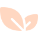 Virticle